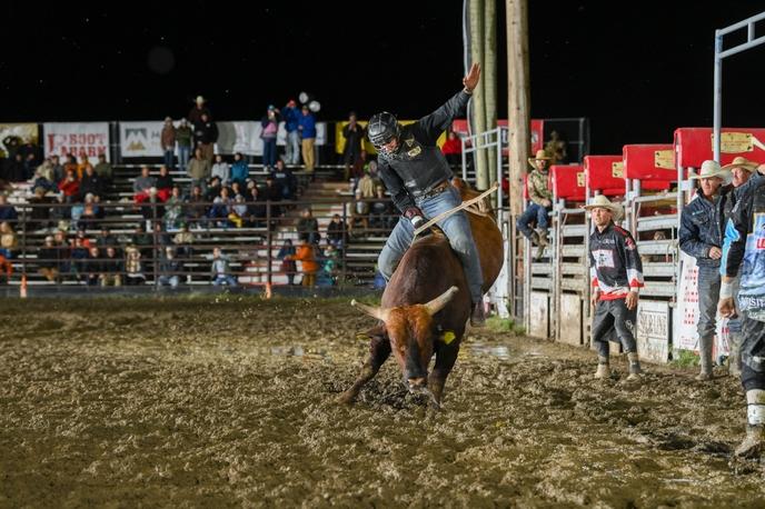 Bull Riding