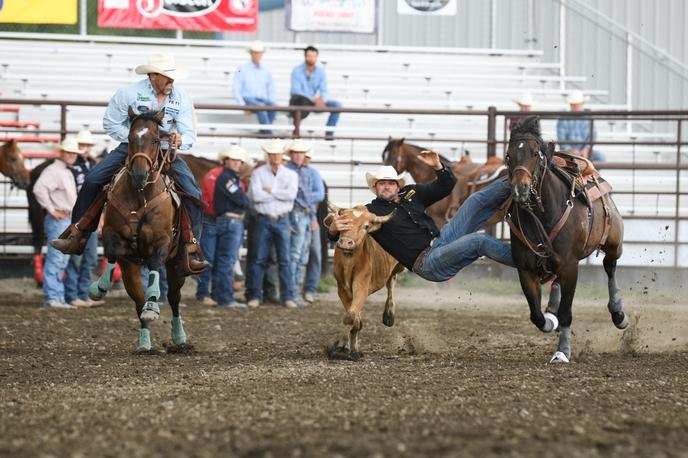 Steer Wrestling