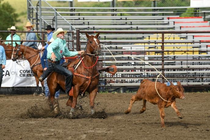 calf roping