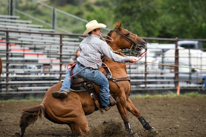 Calf roping