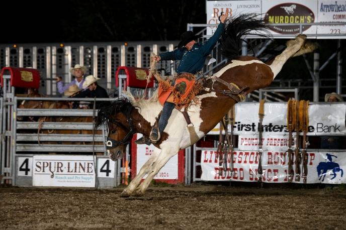 Saddle bronc