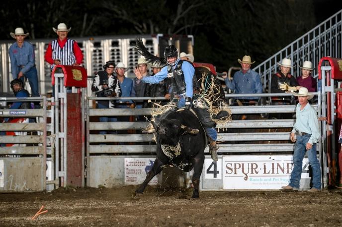 Bull Riding