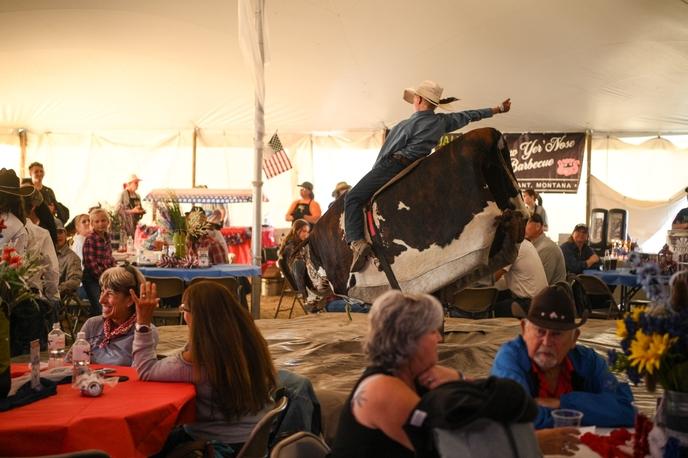 Mechanical Bull